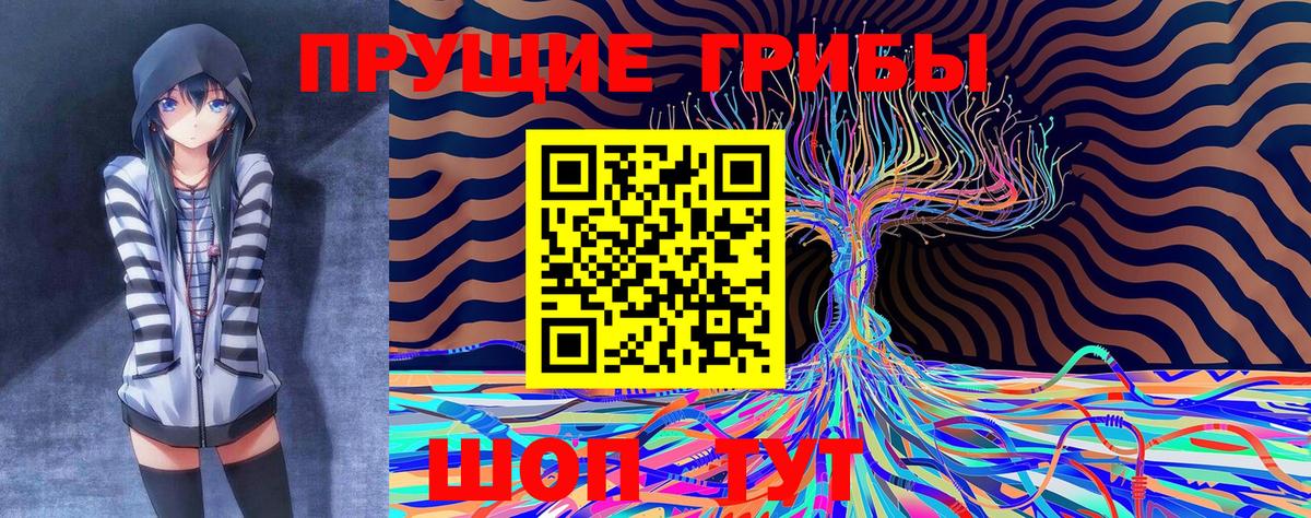 Галлюциногенные грибы Psilocybine cubensis Зима
