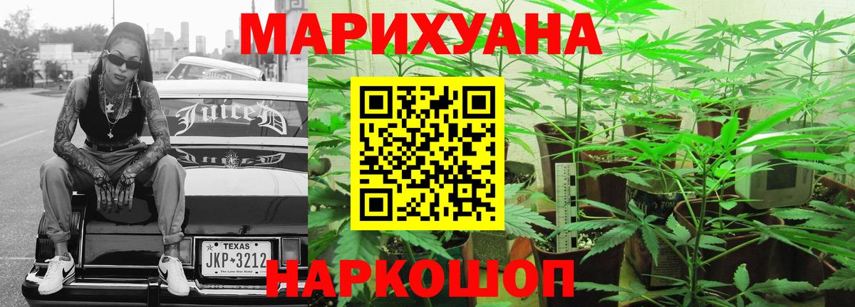Бошки Шишки гибрид Зима